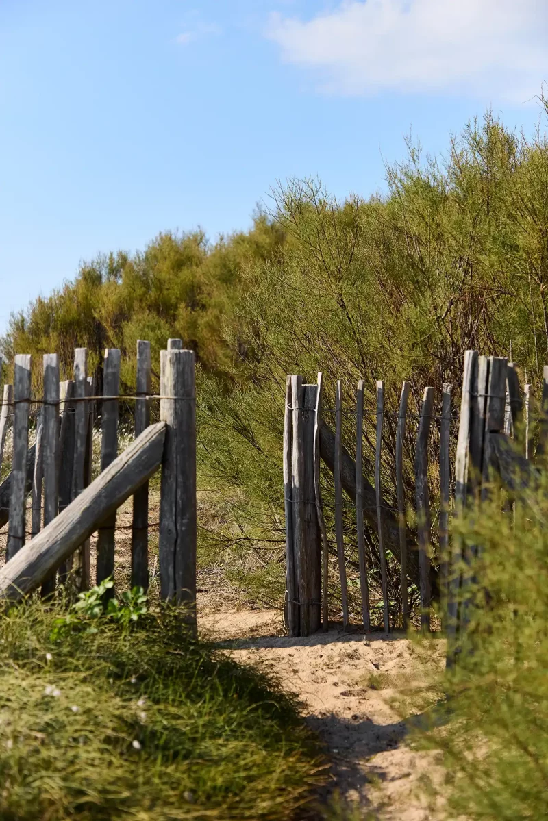 Chemin d'accès en sable bordé de palissades en bois menant à la maison rénovée.