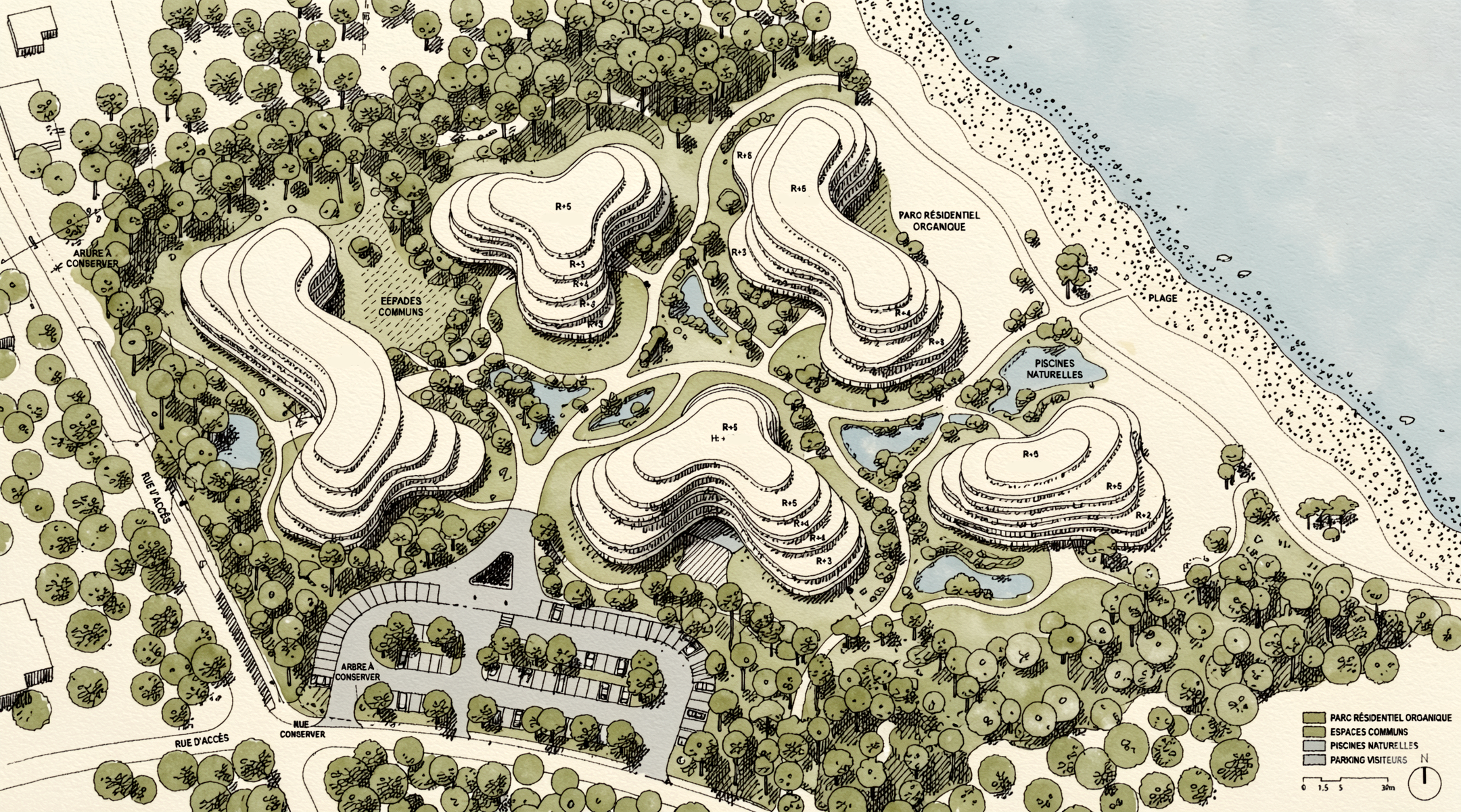 Plan masse aquarellé du parc résidentiel organique des Canopées de Jade dans la pinède littorale